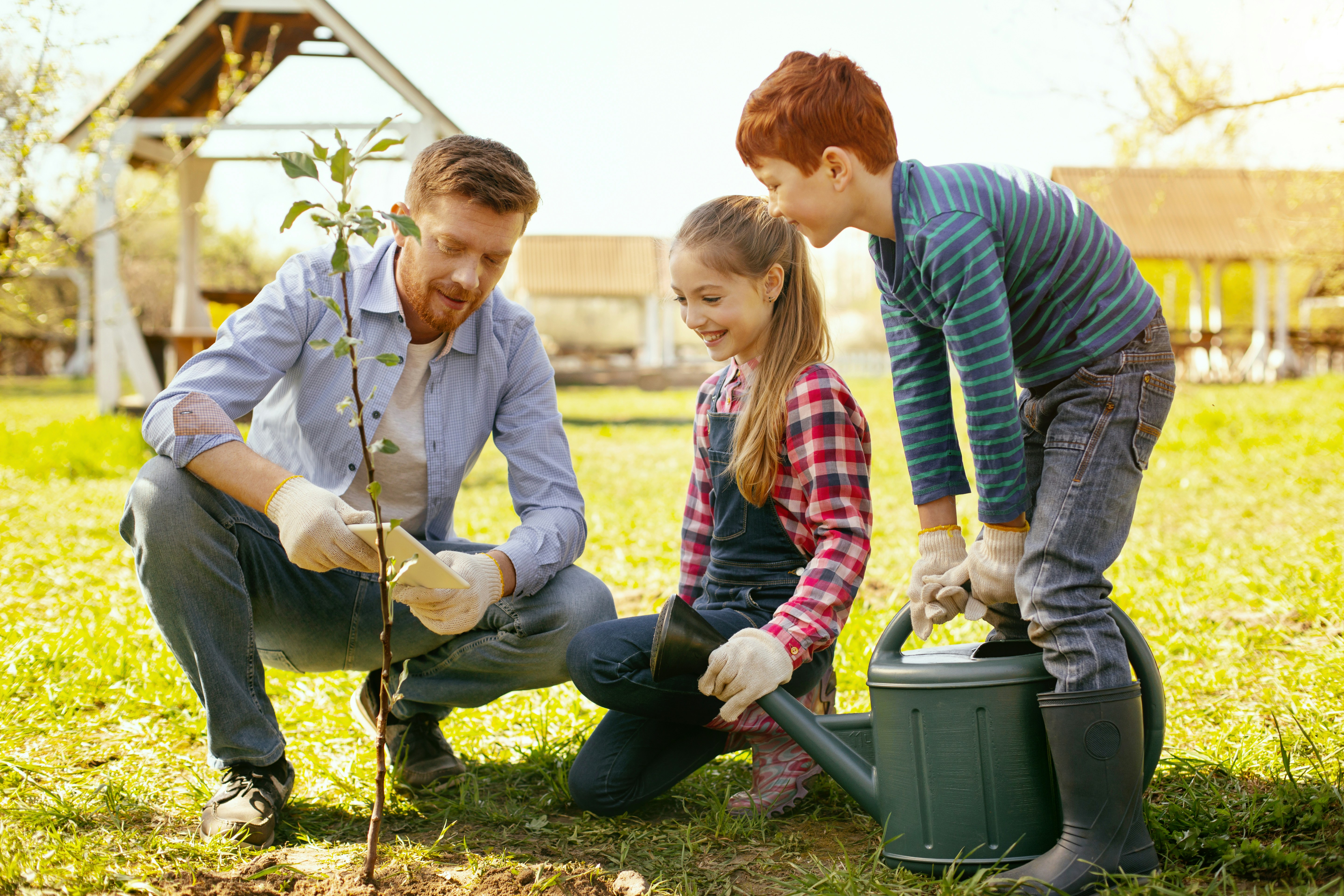 Plant One Tree, Cut Home Energy Use illustration